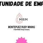Montepuez Ruby Mining, Lda (MRM)