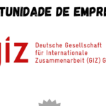 GIZ