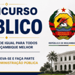 Concurso Público